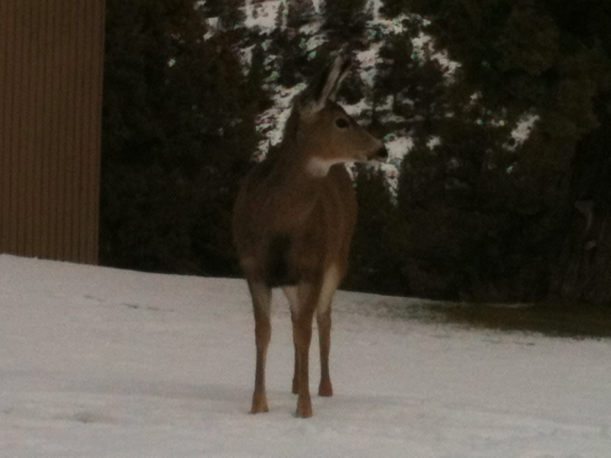 IMG_0034 (2).jpeg